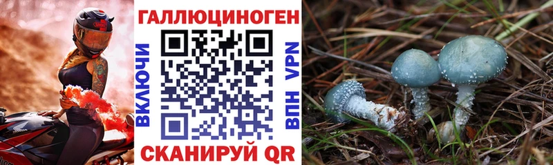купить наркотик  Костомукша  Галлюциногенные грибы Cubensis 