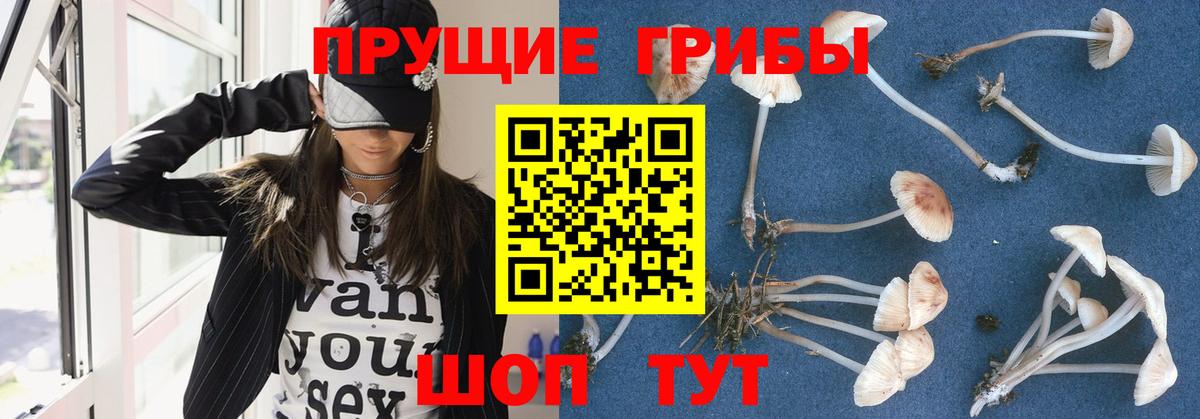 Галлюциногенные грибы мицелий Костомукша